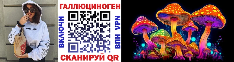 Галлюциногенные грибы Psilocybe  где купить наркотик  Гулькевичи 